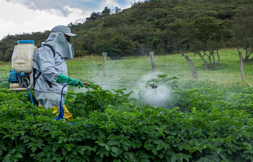 Pest Management