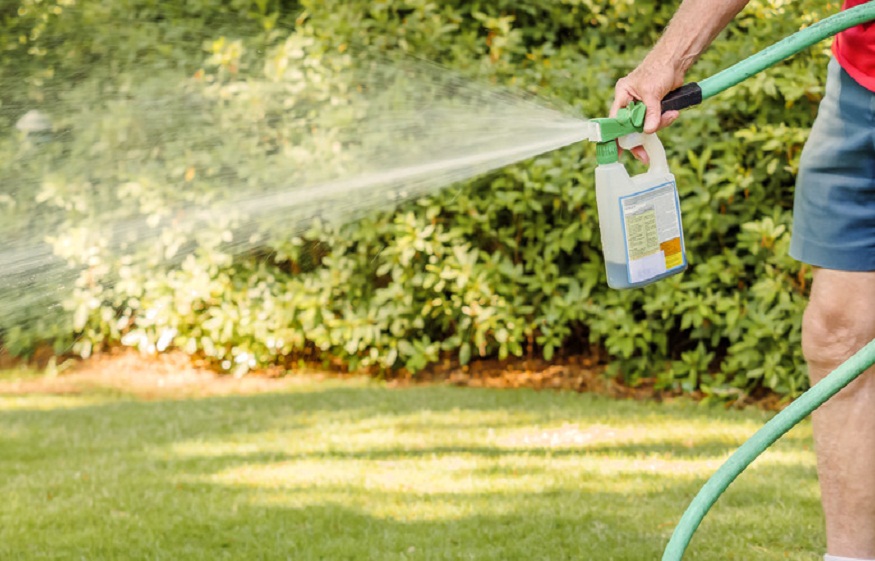 Weed Control in Your Garden