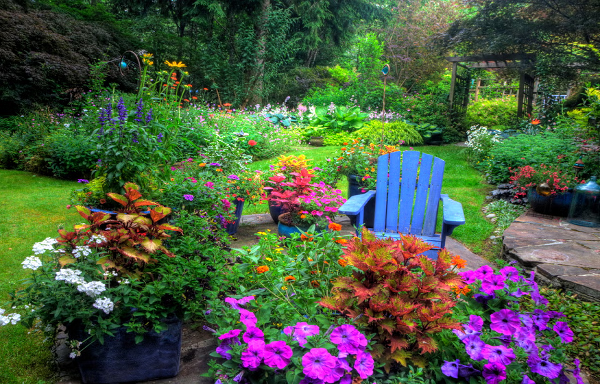 garden for the summer